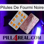 Black Ant Pills new13
